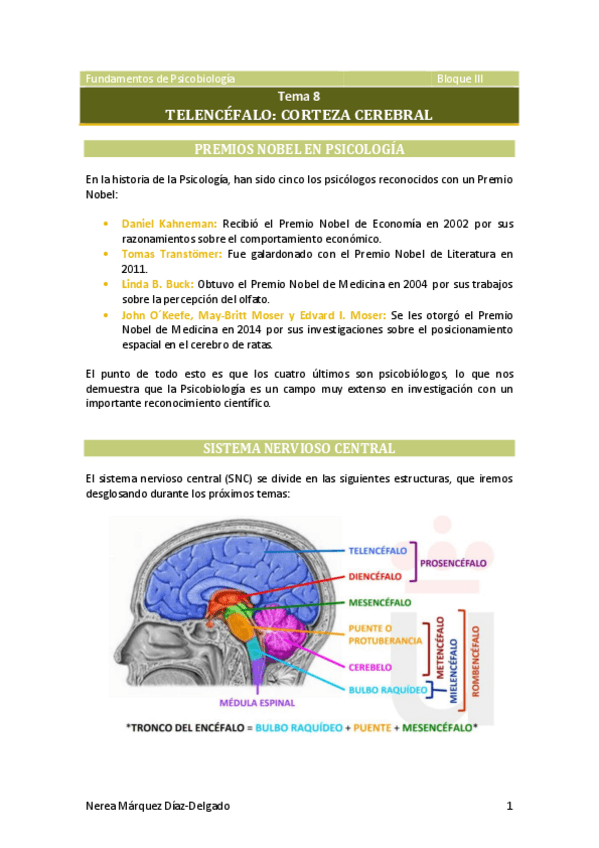 Miniatura del documento Tema-8-Telencefalo.pdf