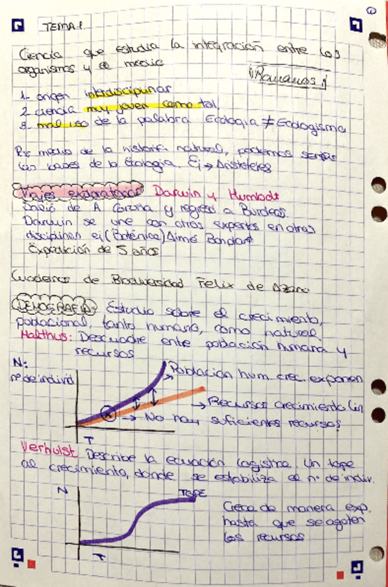 Miniatura del documento parcial-1-eco.pdf