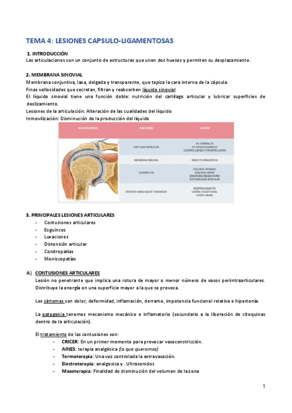 Miniatura del documento Tema-4.pdf