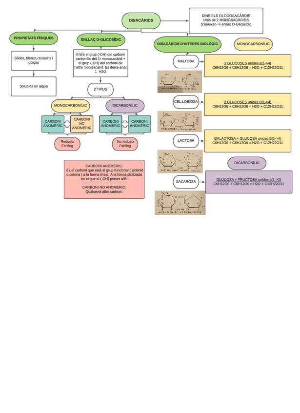 Miniatura del documento DISACARIDS.pdf