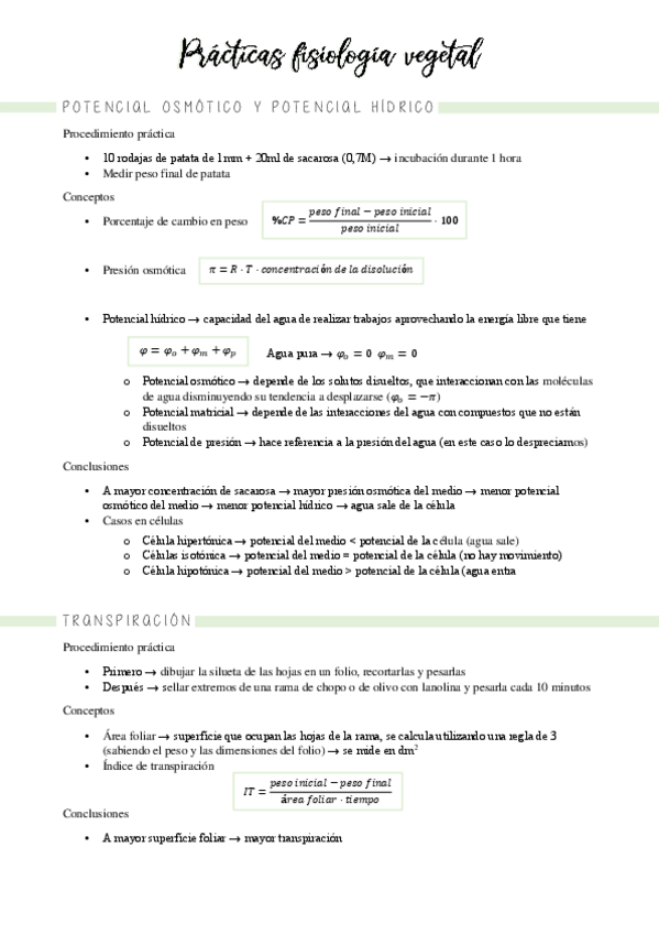 Miniatura del documento apuntes-practicas.pdf