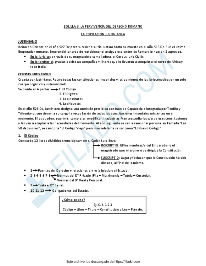 Miniatura del documento BOLILLA-3.pdf