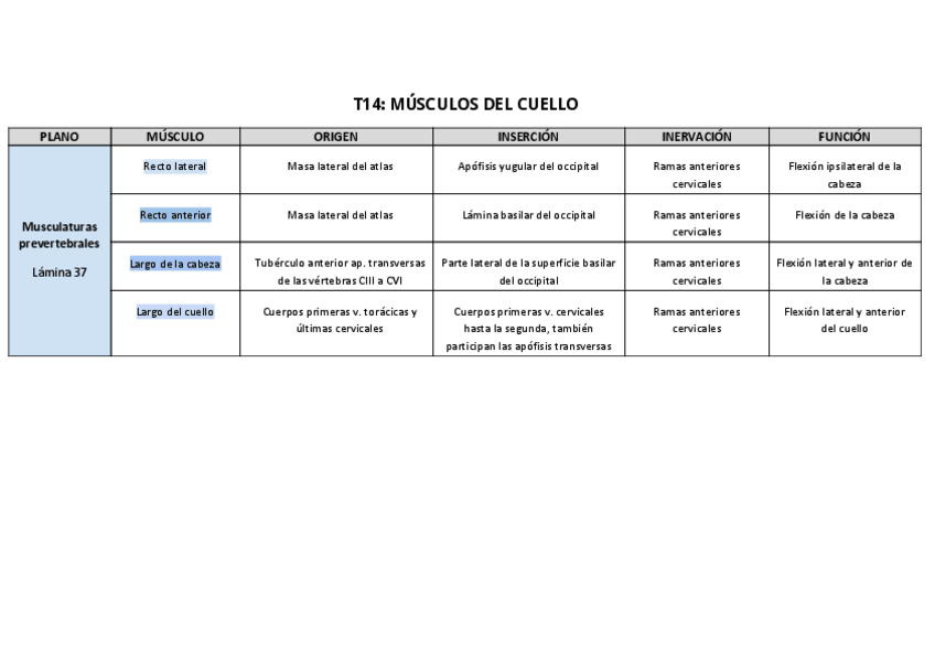 Miniatura del documento T14-Tabla-musculatura-del-cuello.pdf
