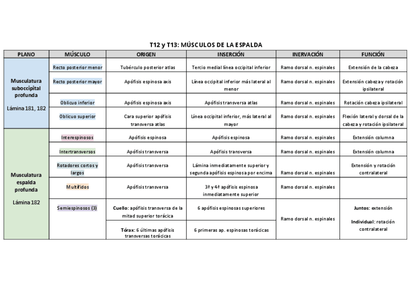 Miniatura del documento T11-12-13-Tabla-musculatura-del-dorso.pdf