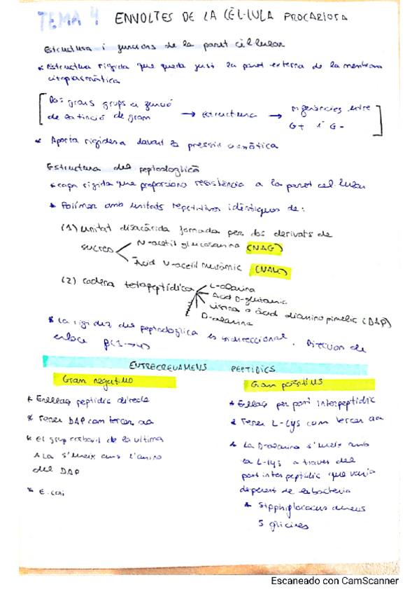 Miniatura del documento tema-4.pdf