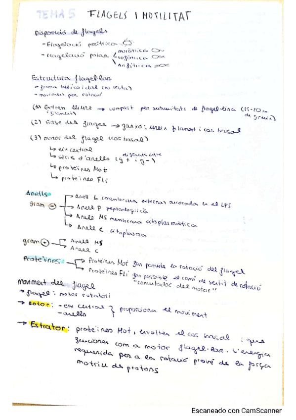 Miniatura del documento tema-5.pdf