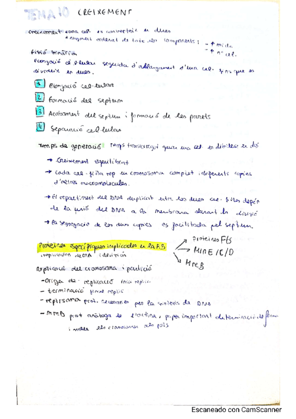 Miniatura del documento tema-10.pdf
