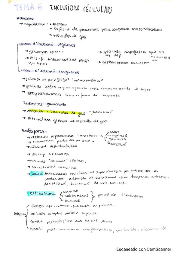 Miniatura del documento tema-6.pdf