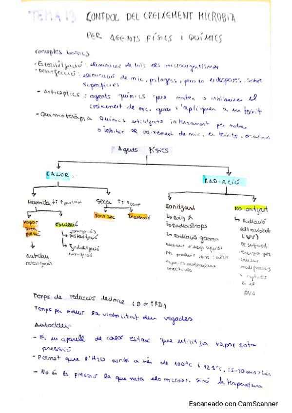 Miniatura del documento tema-13.pdf