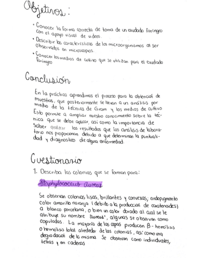 Miniatura del documento Practica-3-Exudado-Faringeo.pdf
