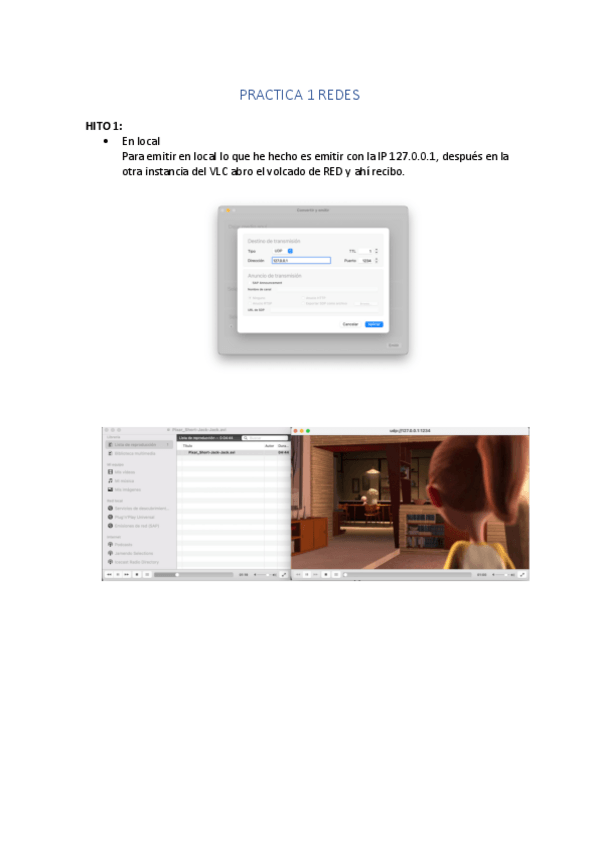 Miniatura del documento PRACTICA1REDES.pdf