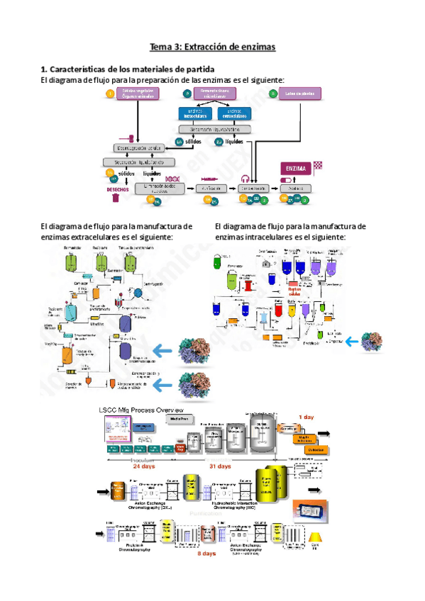 Miniatura del documento Tema-3.pdf