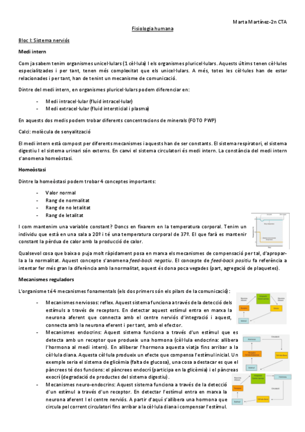 Miniatura del documento FH-Pl.pdf