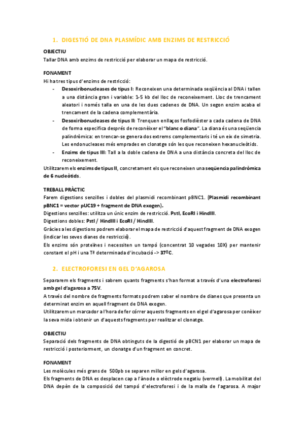 Miniatura del documento PRACTIQUES-BIOMOL.pdf