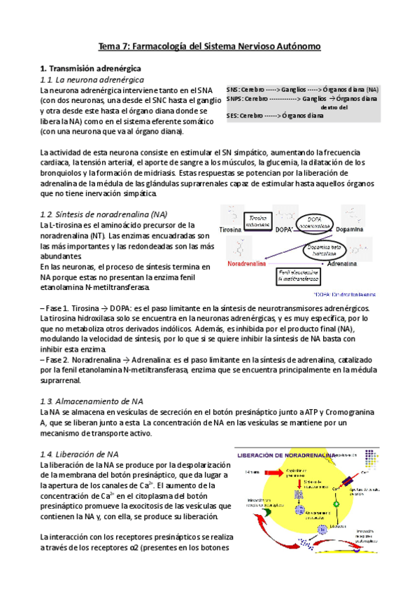 Miniatura del documento Tema-7.pdf