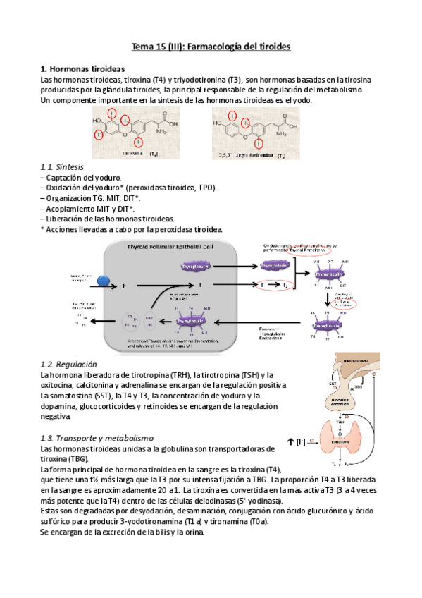 Miniatura del documento Tema-15.pdf