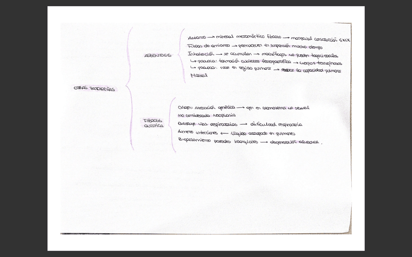Miniatura del documento Citopatologia-de-neoplasias-2.png