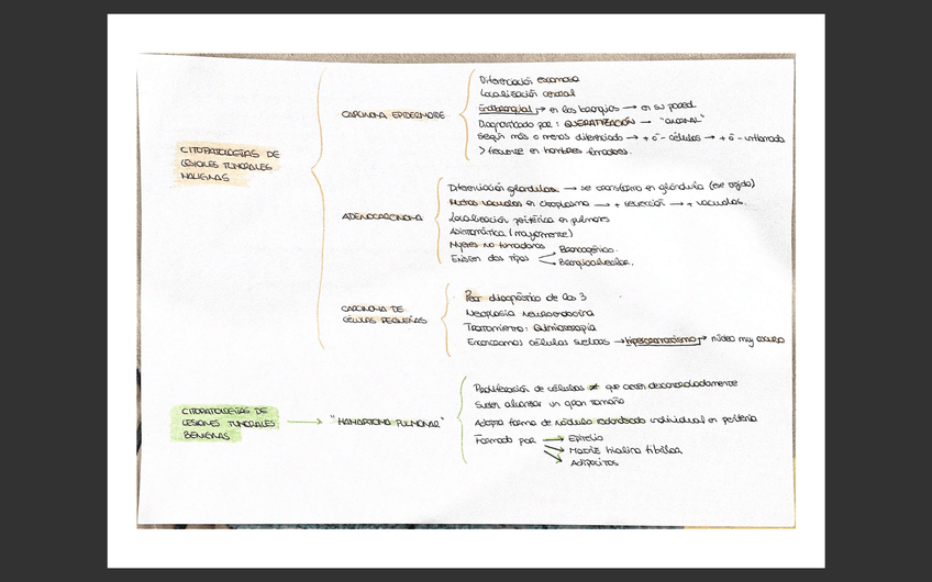 Miniatura del documento Citopatologia-de-neoplasias-.png