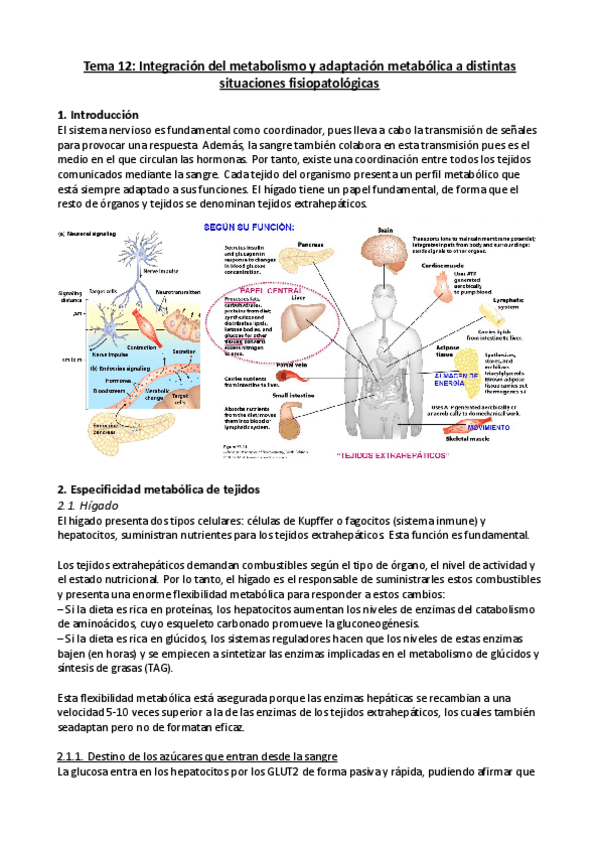 Miniatura del documento Tema-12.pdf