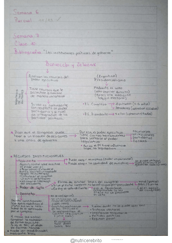 Miniatura del documento ICSE-Clase-10-Nutricerebrito.pdf
