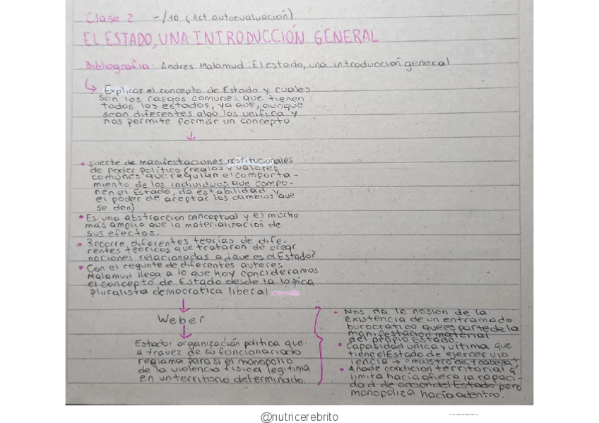 Miniatura del documento ICSE-Clase-2-Nutricerebrito.pdf