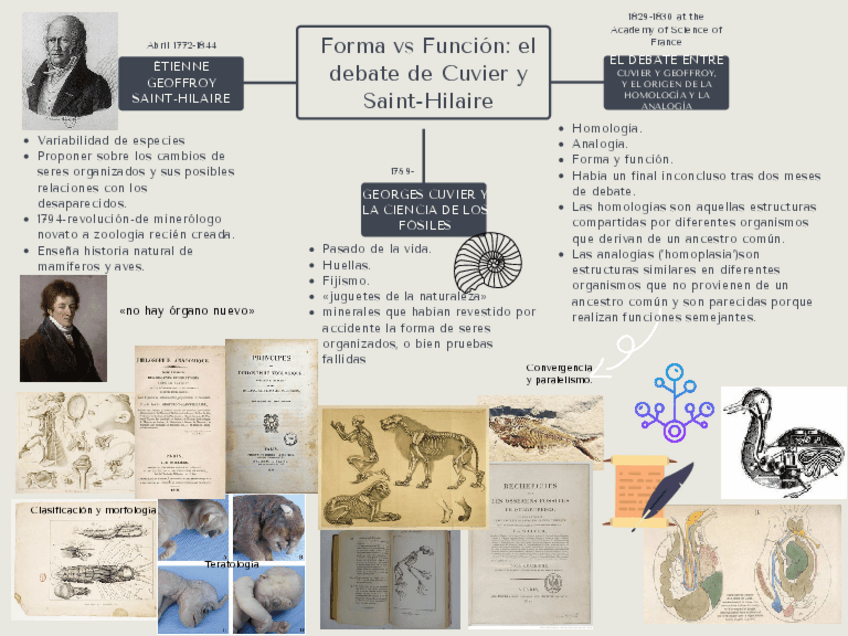 Miniatura del documento GonzalezRFormavsFuncion.pdf