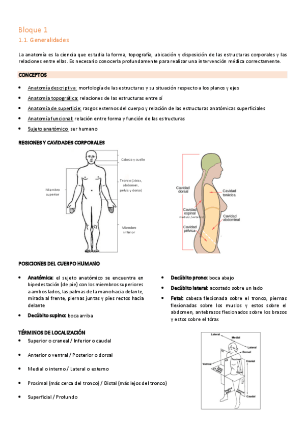 Miniatura del documento Anatomia-Bloque-1-.pdf