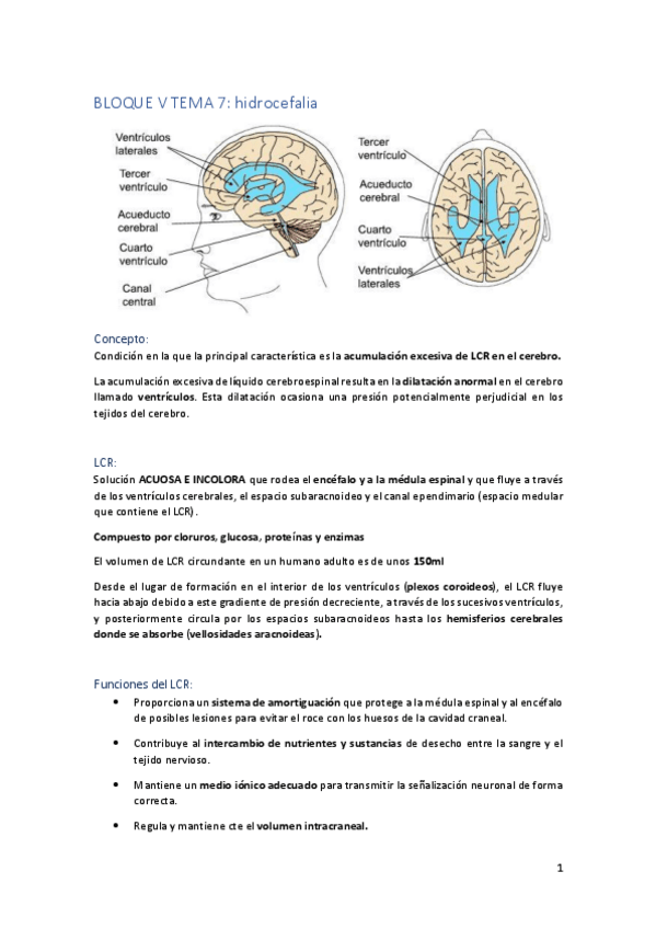 Miniatura del documento BLOQUE-V-TEMA-7.pdf