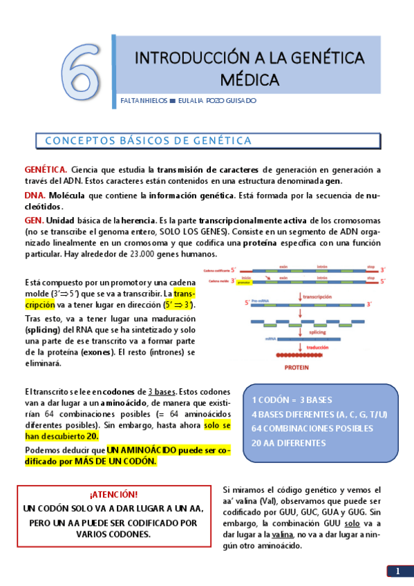 Miniatura del documento 6-Introduccion-a-la-genetica-medica.pdf