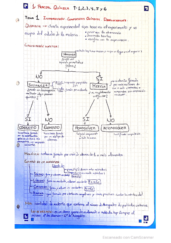 Miniatura del documento INDUCCION.pdf