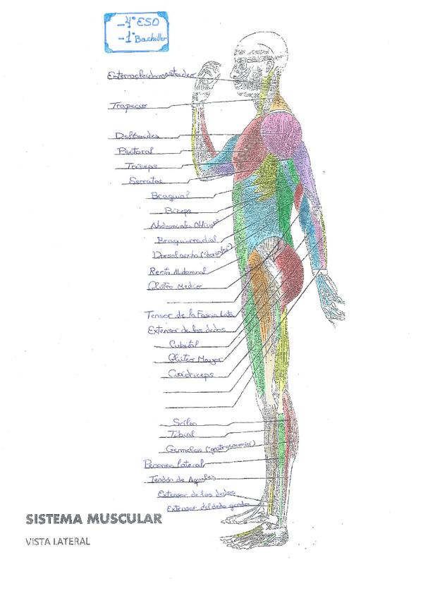 Miniatura del documento 4o-ESO.pdf