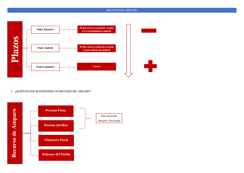 Miniatura del documento RECURSO-DE-AMPARO.pdf