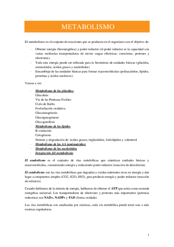 Miniatura del documento Metabolisme.pdf