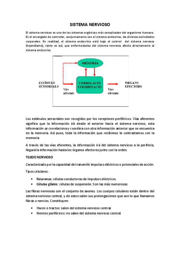 Miniatura del documento 1.pdf