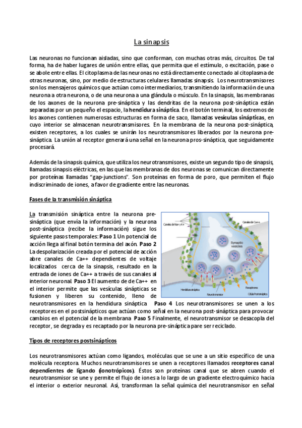 Miniatura del documento 3.pdf