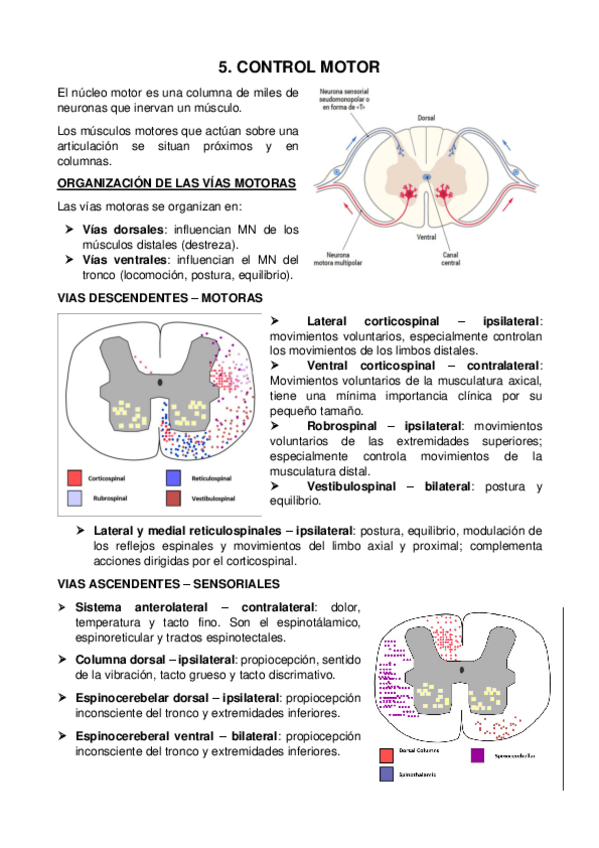 Miniatura del documento 5.pdf