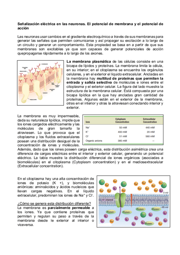 Miniatura del documento 2.pdf
