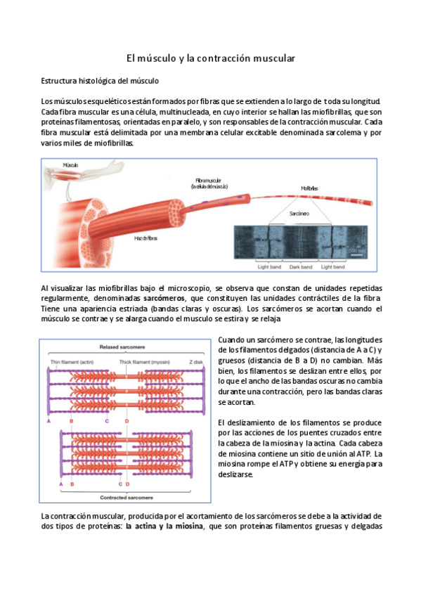 Miniatura del documento 4.pdf