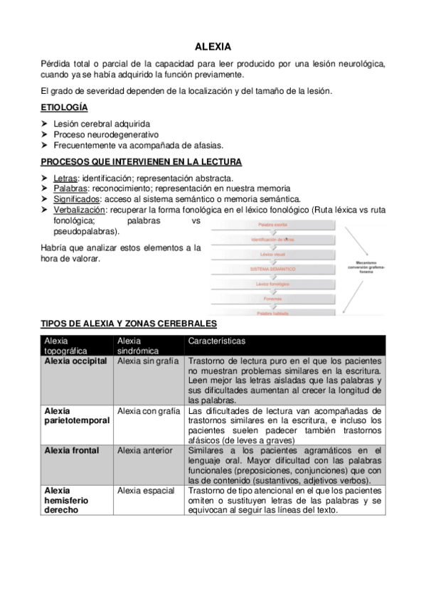 Miniatura del documento Alexia-y-agrafia.pdf