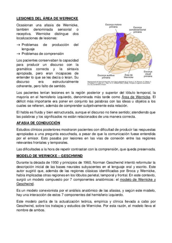 Miniatura del documento Afasias.pdf
