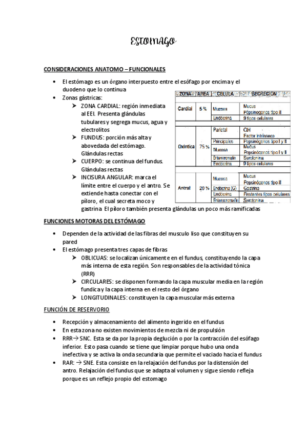 Miniatura del documento ESTOMAGO.pdf
