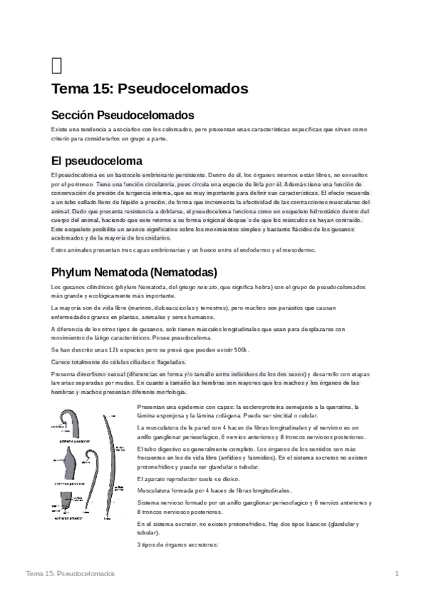Miniatura del documento Tema15Pseudocelomados.pdf