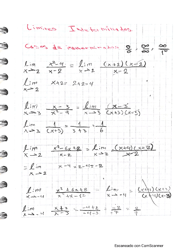 Miniatura del documento limites-indeterminados.pdf