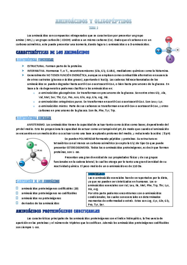 Miniatura del documento aminoacidos.pdf