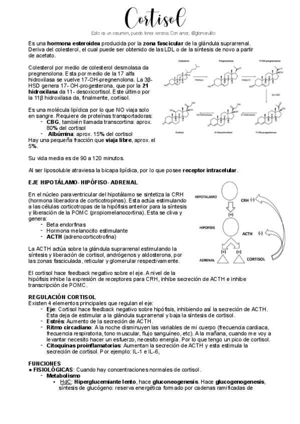 Miniatura del documento Cortisol.pdf