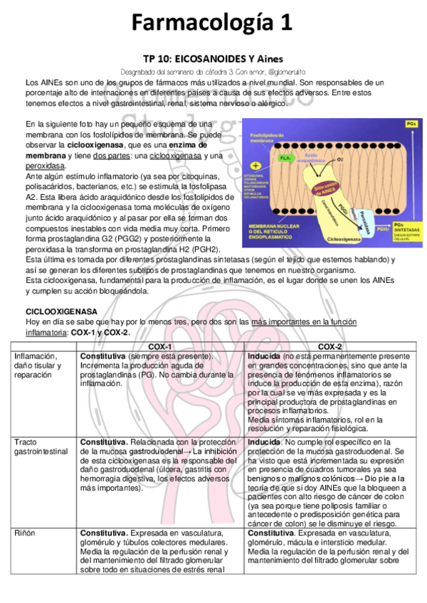 Miniatura del documento Eicosanoides-y-AINES.pdf