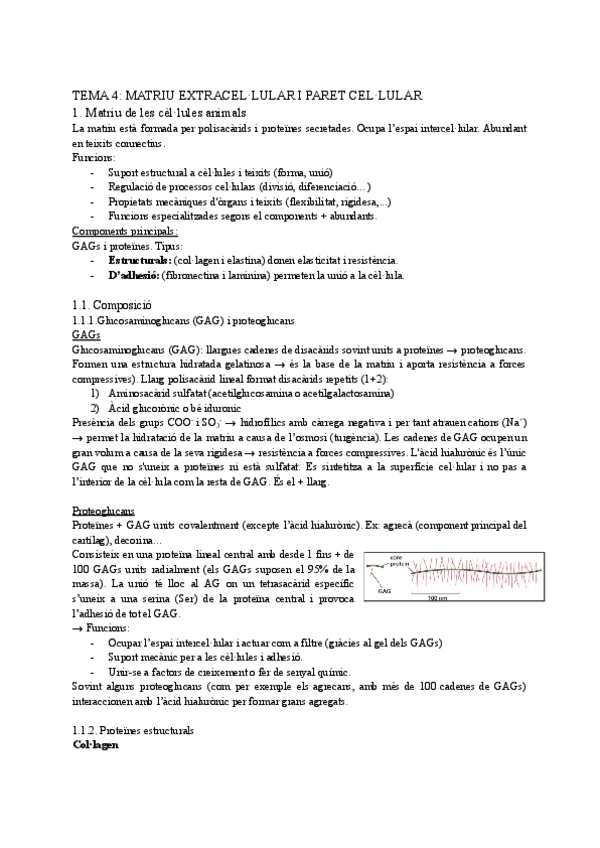 Miniatura del documento Tema-4-biocel.pdf