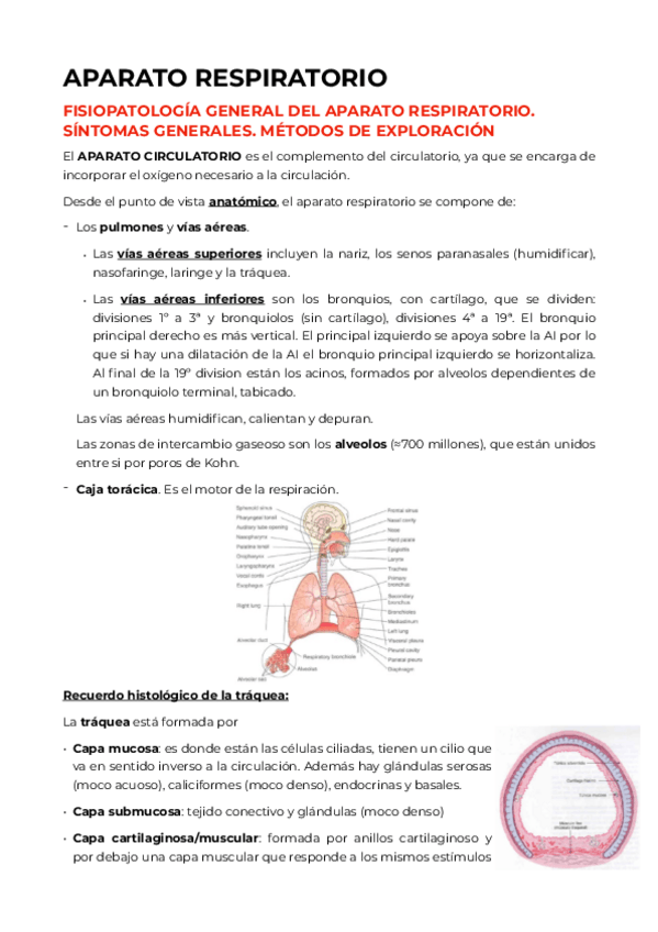 Miniatura del documento BLOQUE-III-PG-laugut.pdf