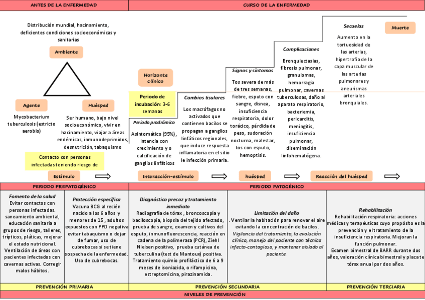 Miniatura del documento Control-de-enfermedades-Tuberculosis.pdf
