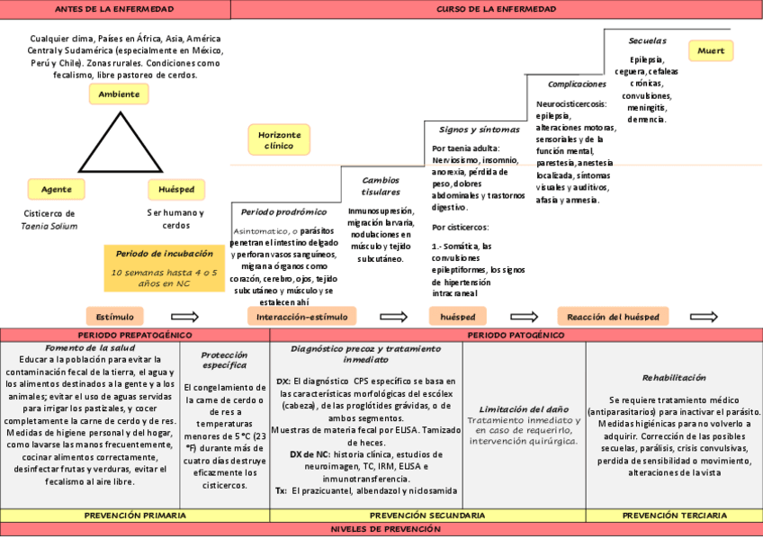 Miniatura del documento Control-Cisticercosis.pdf